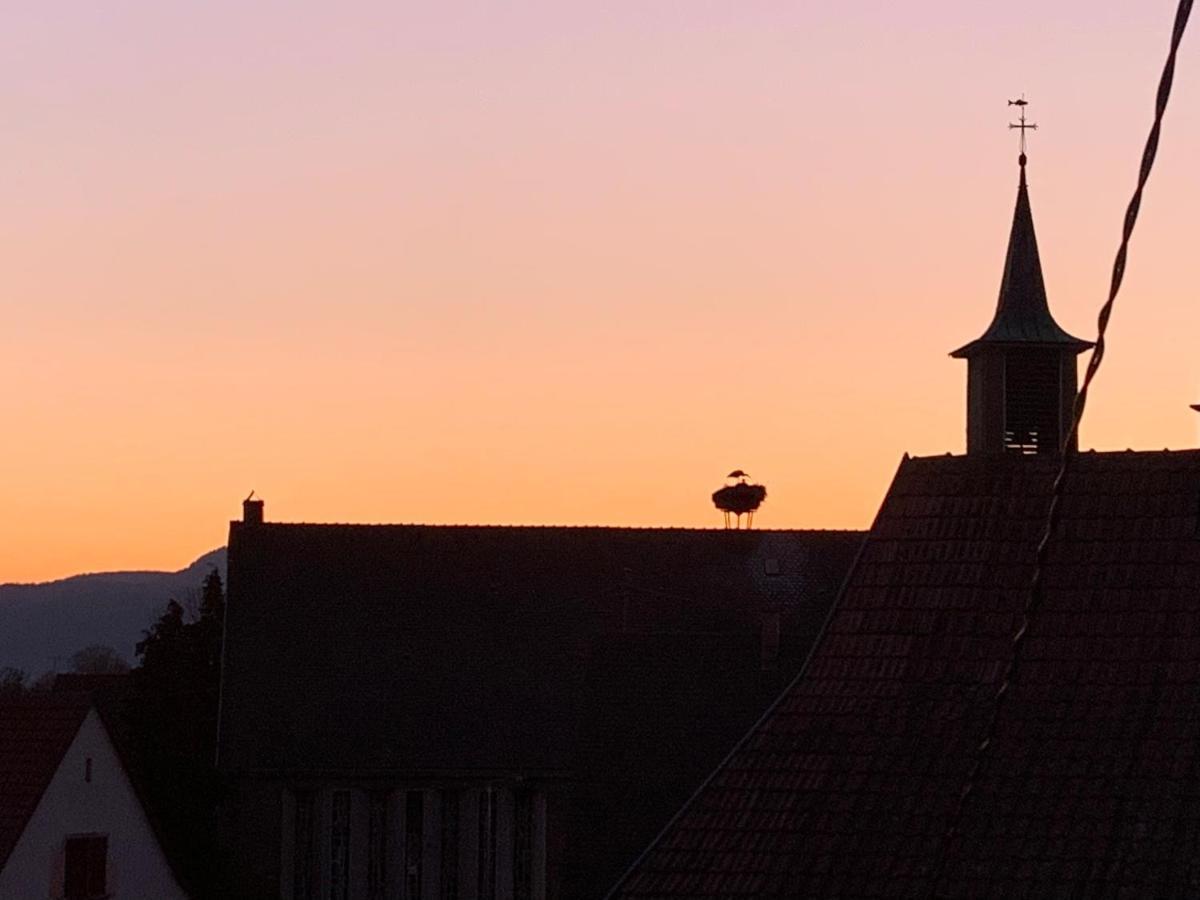 Nid De Cigogne Illhaeusern